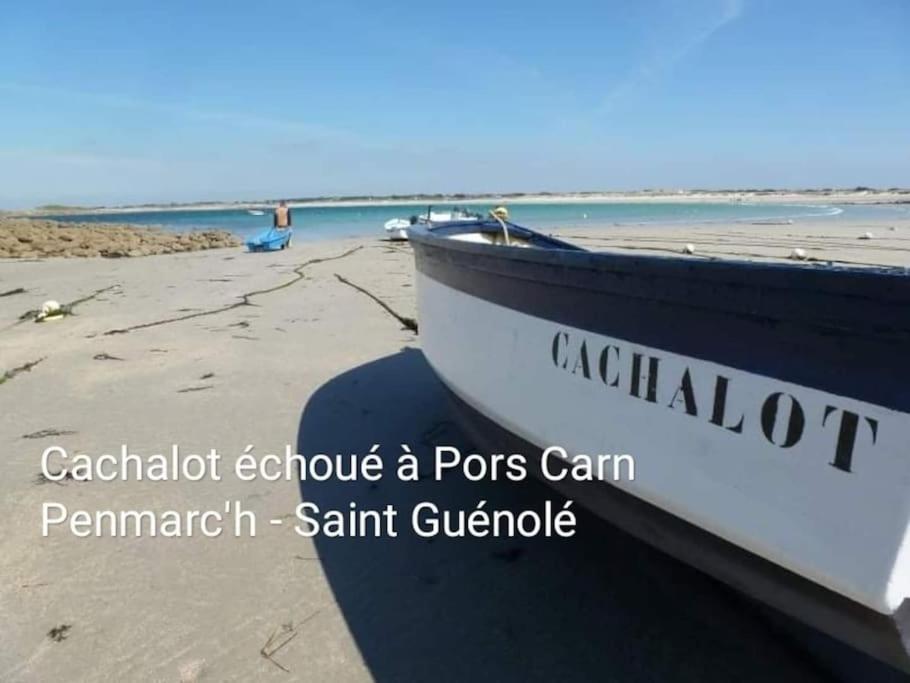 Appart-Duplex Vue Mer Panoramique Balcon & Piscine Proche Commerce Penmarch Exterior photo